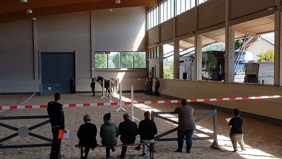 Newsbild: Teamtag des Atelier in Oberhausen im Juli 2019