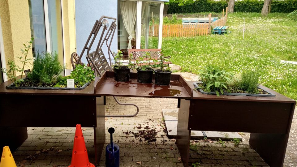 Newsbild: Einweihung des neuen Kräuterhochbeetes der Tagesfördergruppe (TFG)